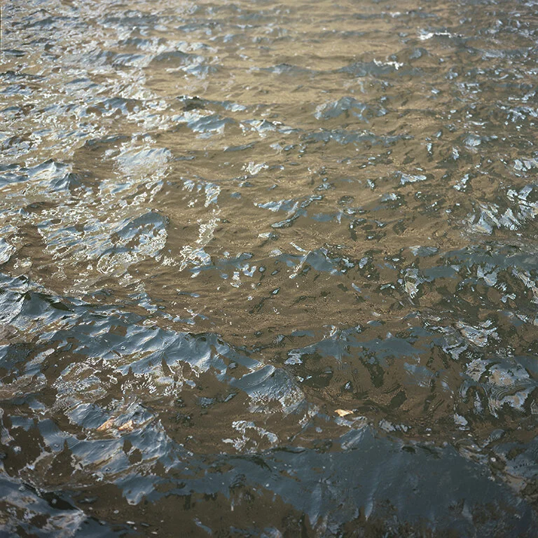 Hasselblad-roll4-UneasyOcean.jpg