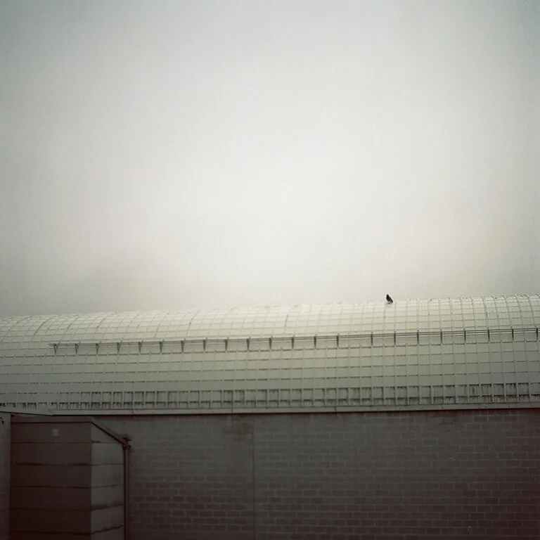 Cloudland.jpg