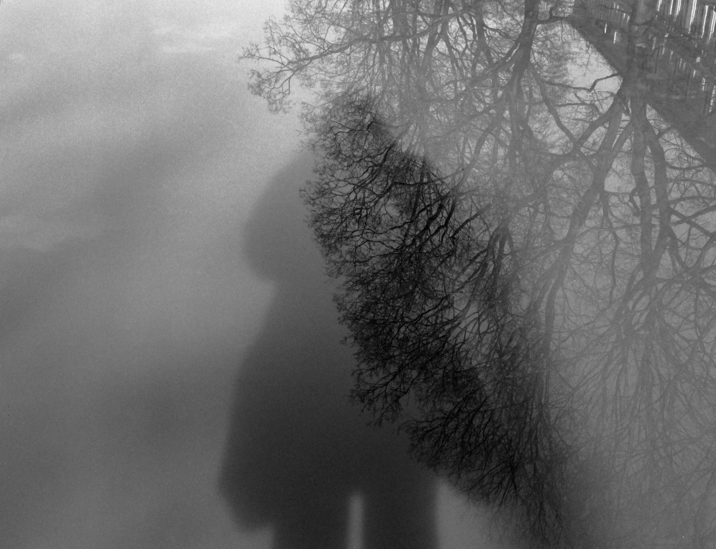 IdaChloeLou-Projector-010-HalfOfTwoWorlds.jpg