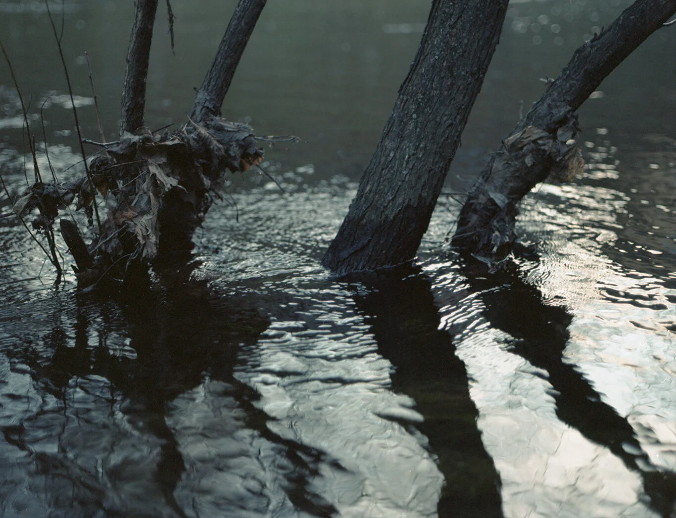 River010.jpg