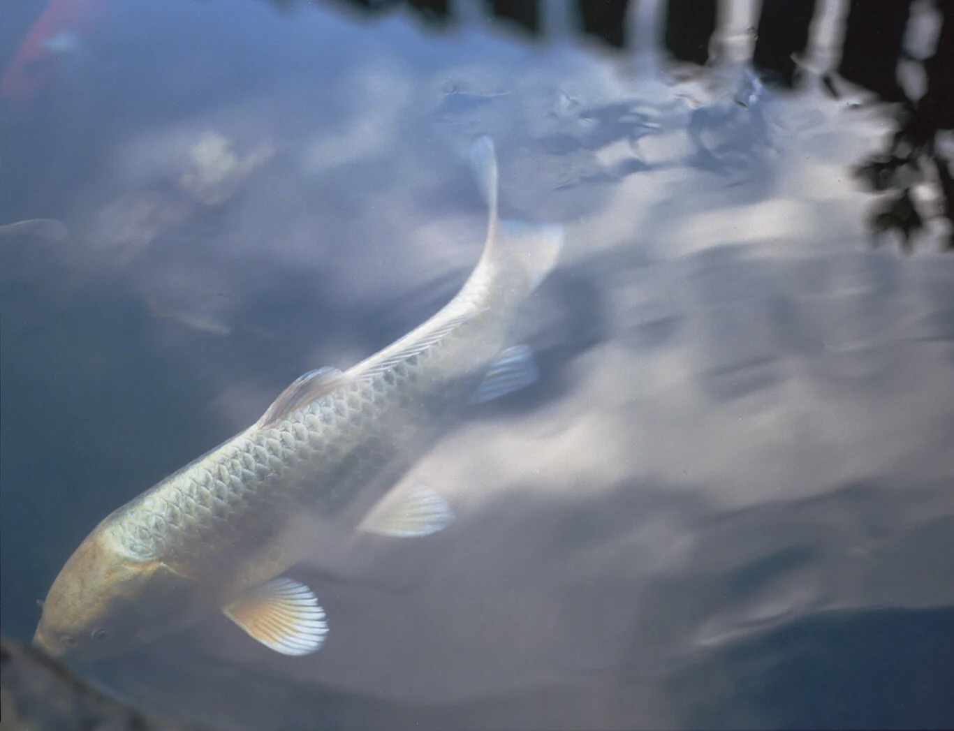 River024.jpg