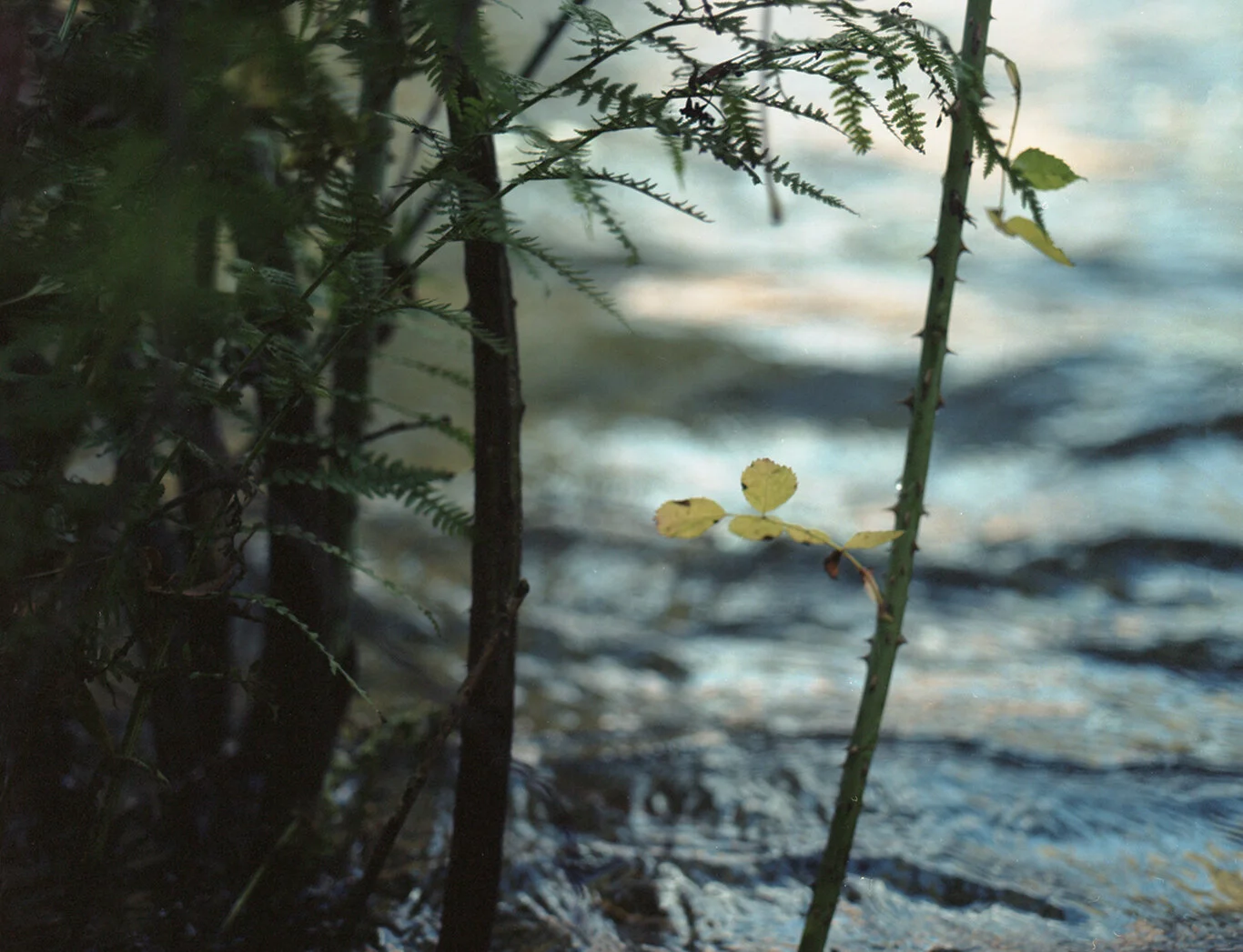 River002.jpg