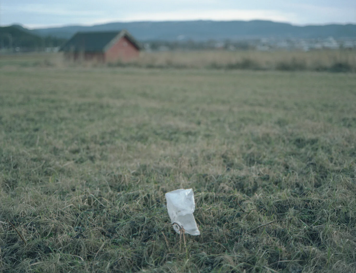 December2020030.jpg