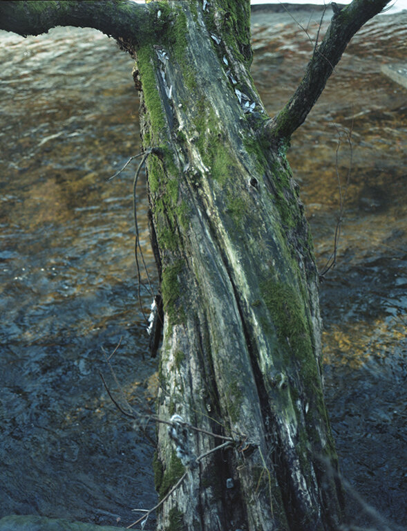 River064.jpg