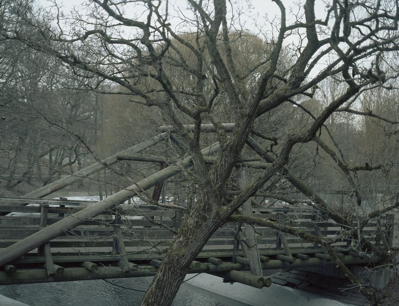 River068.jpg