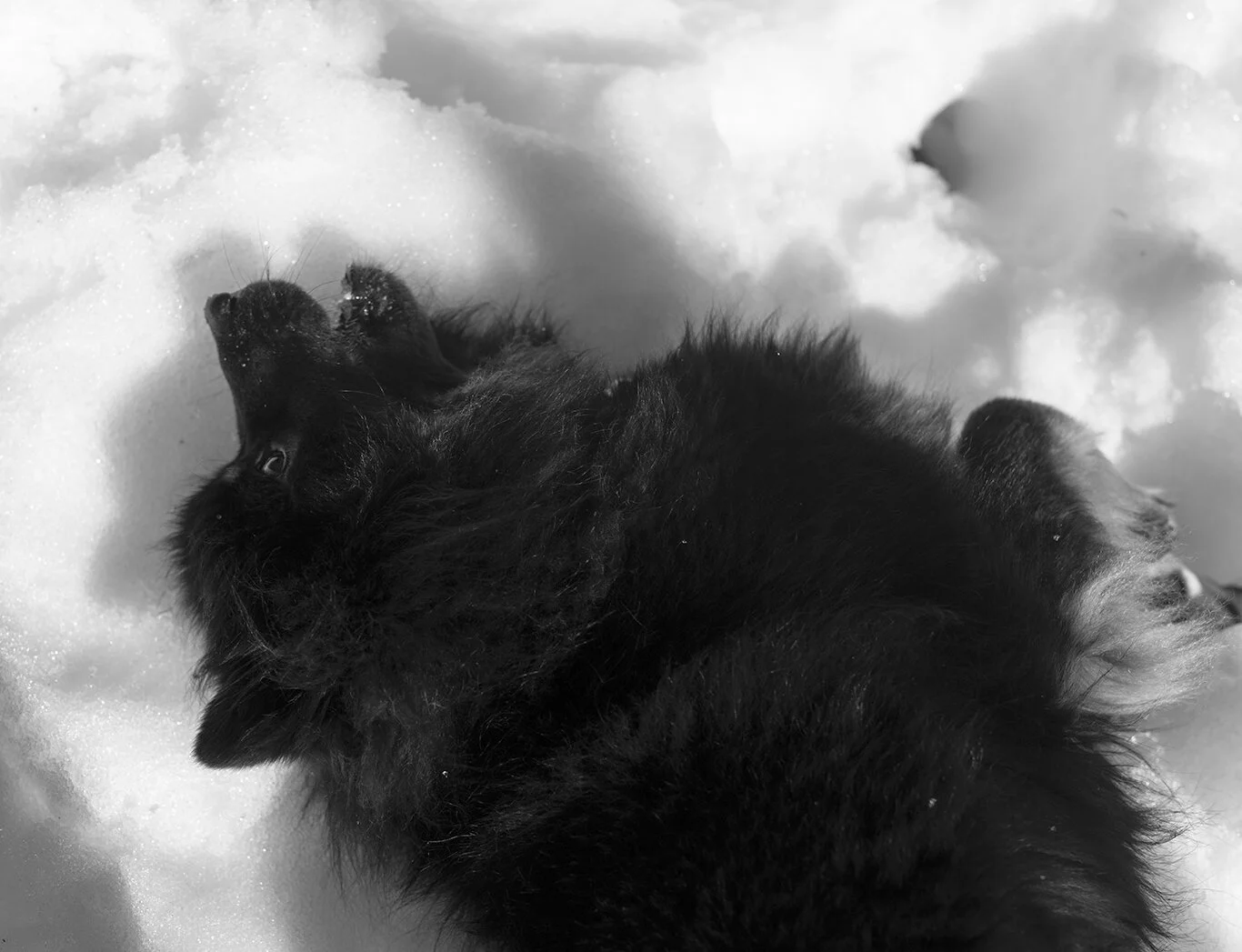 23-Ronja.jpg