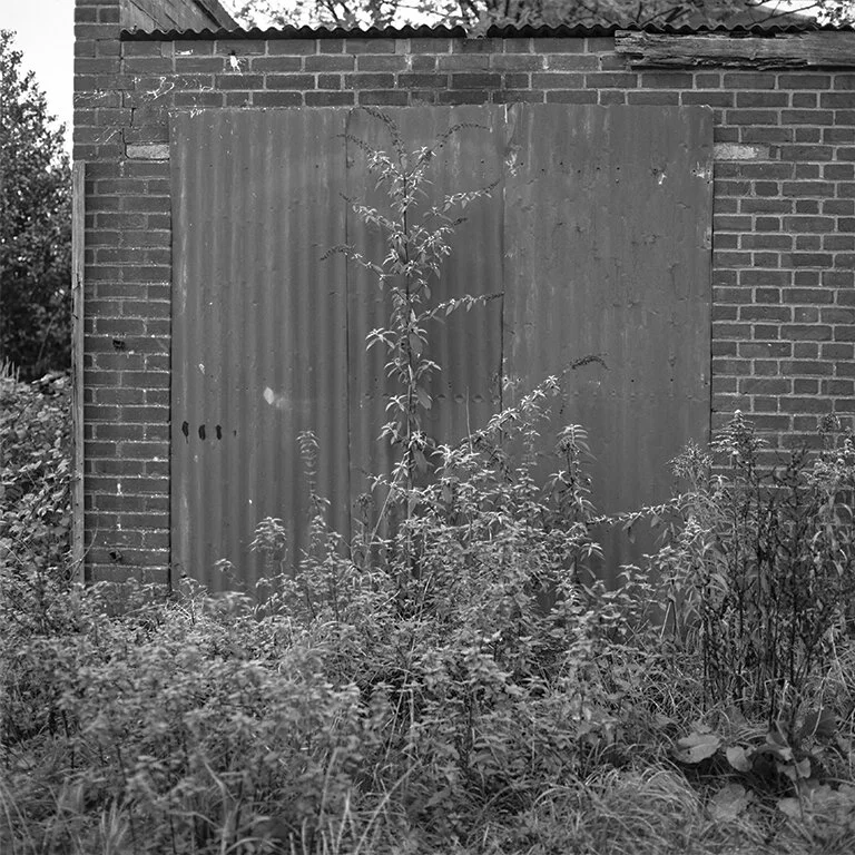 Hasselblad-roll3-RedPortal.jpg