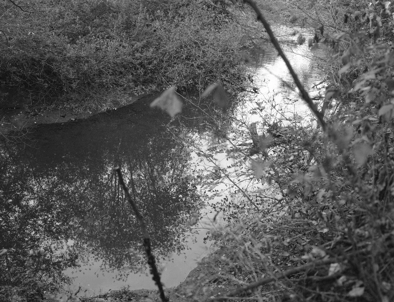 september2021ultrafilm011.jpg