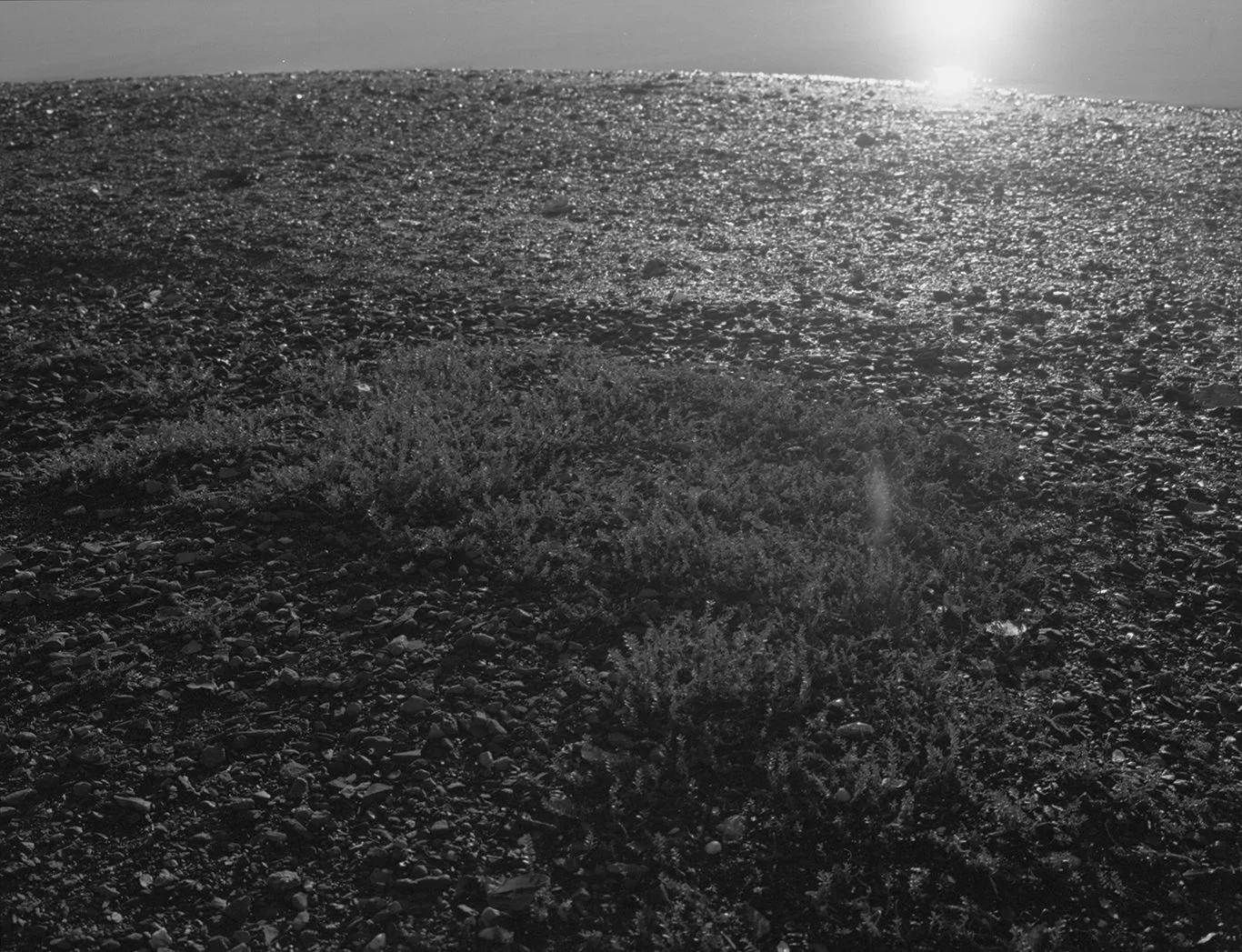 WhatConnectsUs026 copy.jpg