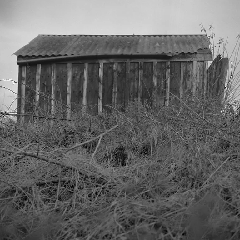 Hasselblad-roll8028.jpg
