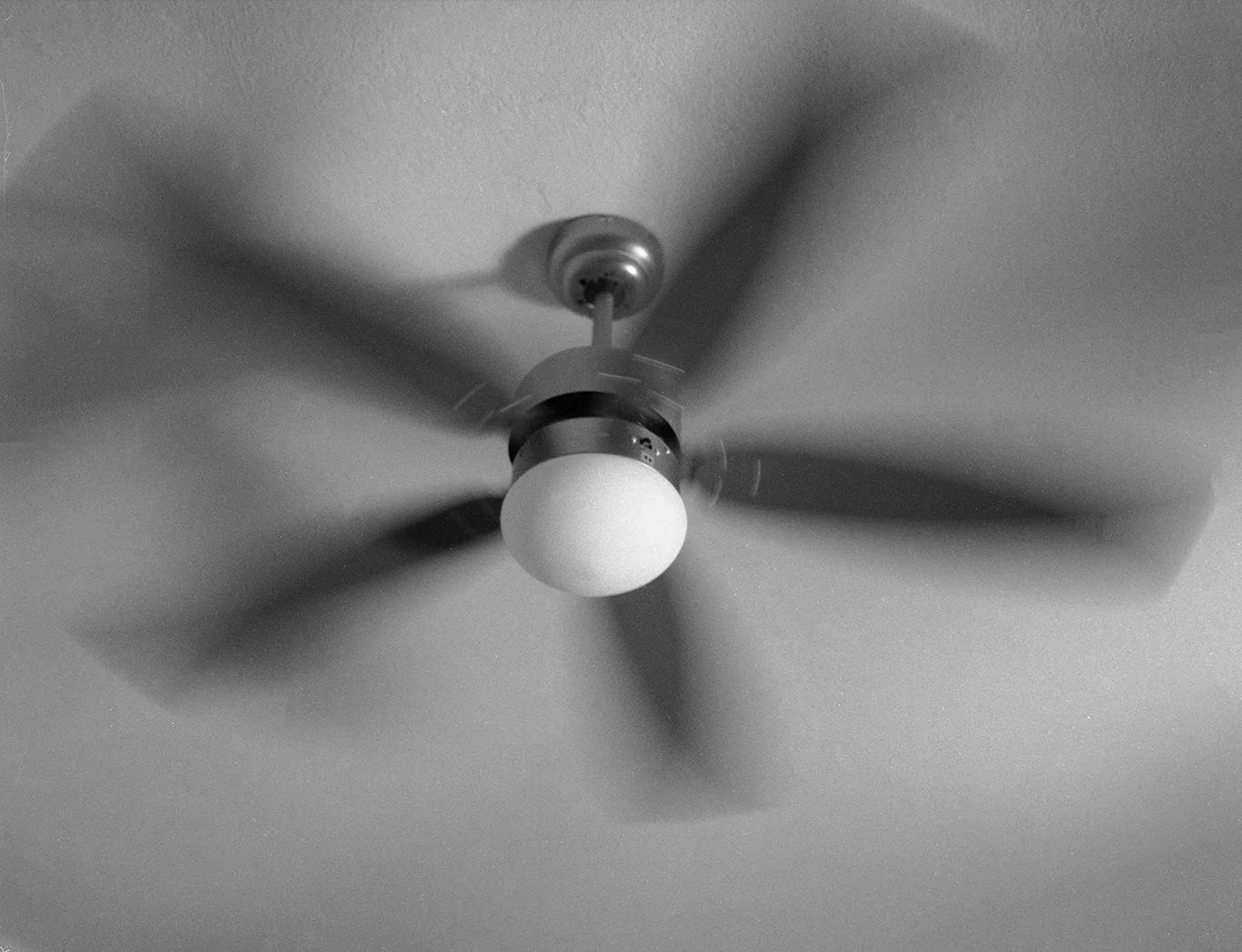 Italiasummer22016 copy 2.jpg