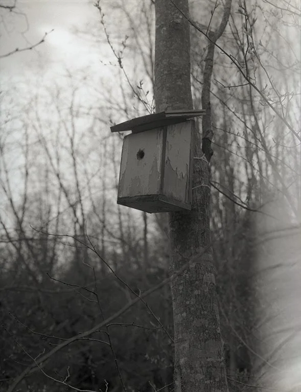 beginningofsummer2021006 copy.jpg