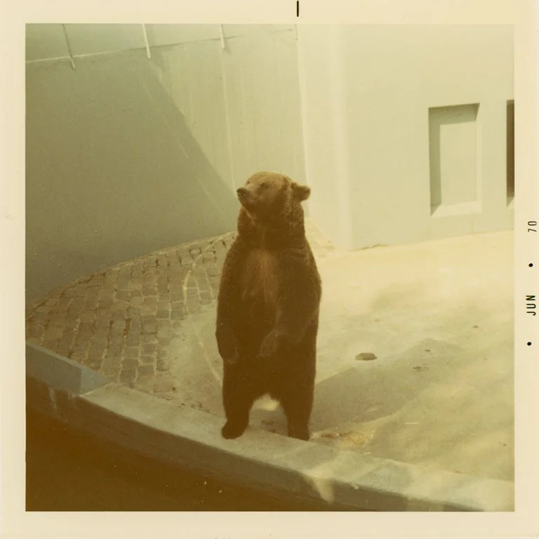 Pappa-polaroid051 copy.jpg