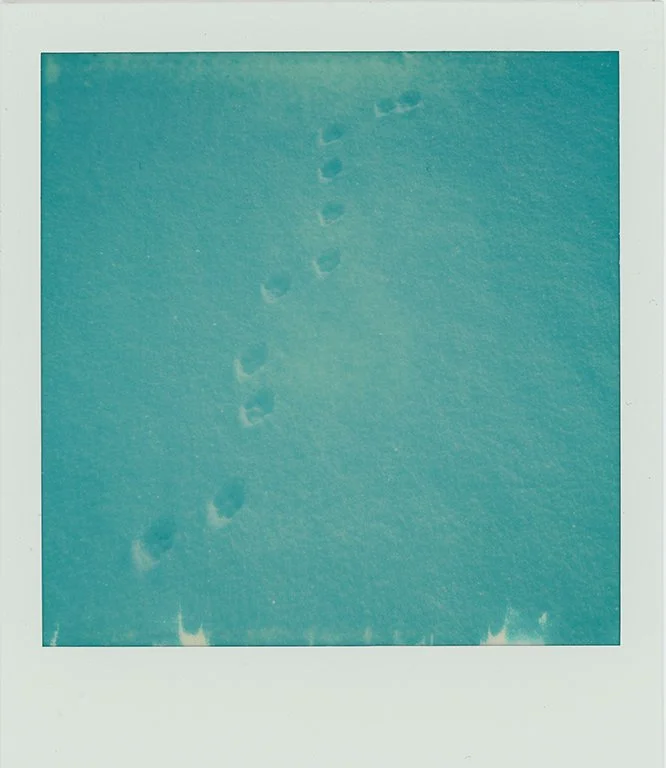 polaroid010 copy.jpg