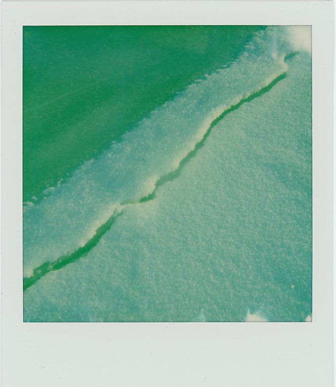 polaroid009 copy.jpg