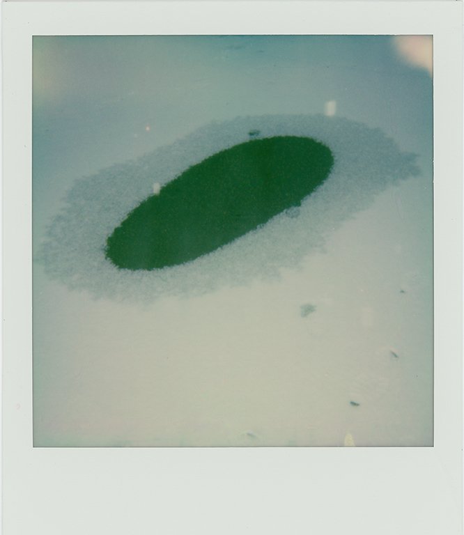 Polaroid005b copy2 copy.jpg