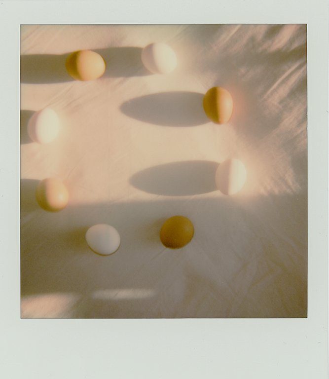 polaroid012 copy.jpg