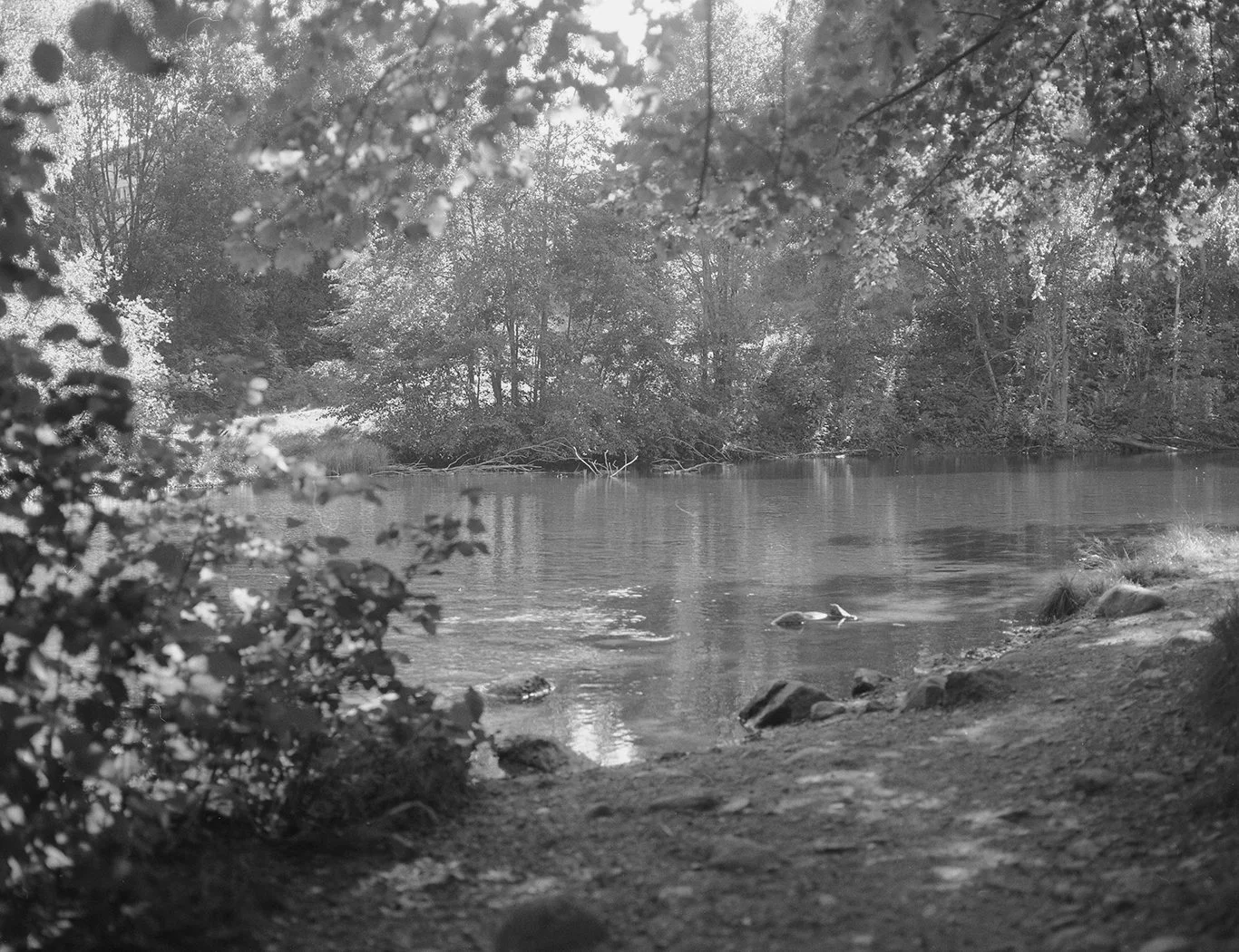 Gaustafjell008 copy.jpg