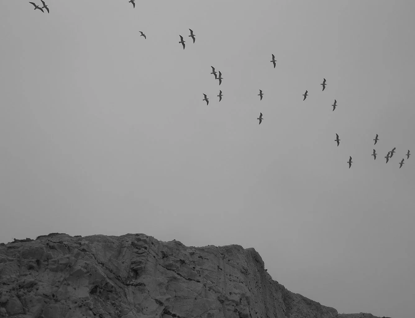 IMG_7941 copy.jpg