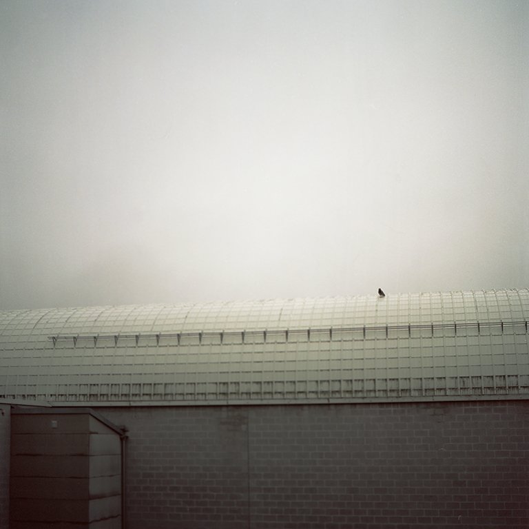 IdaChloeLouOlsen_Cloudland_04.jpg