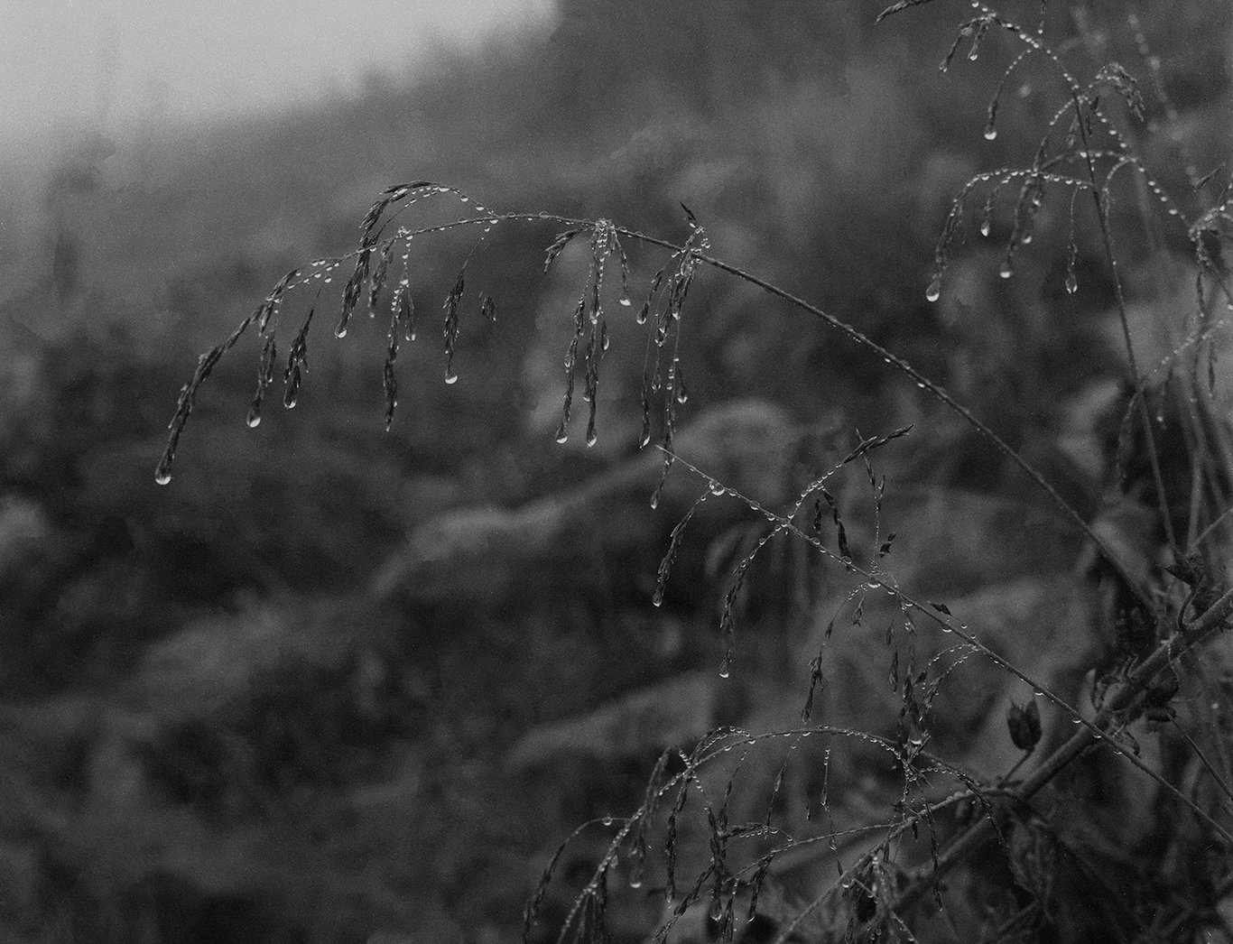 Gaustafjell017 copy.jpg