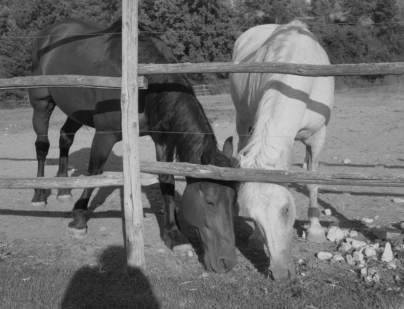 Italiasummer22035 copy 2.jpg