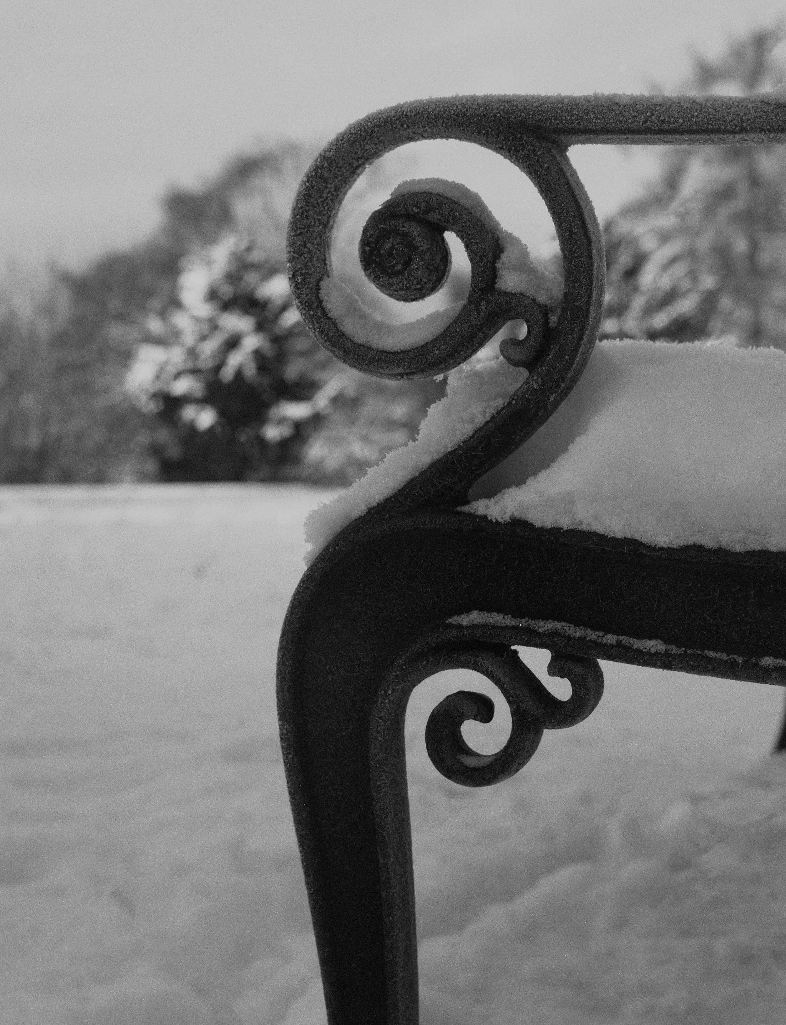 Italy_Christmas_2023023 copy 3.jpg