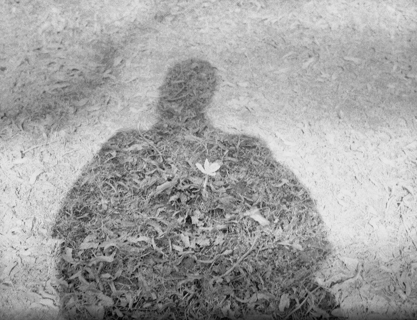 TheIslands_March2023_022 copy.jpg