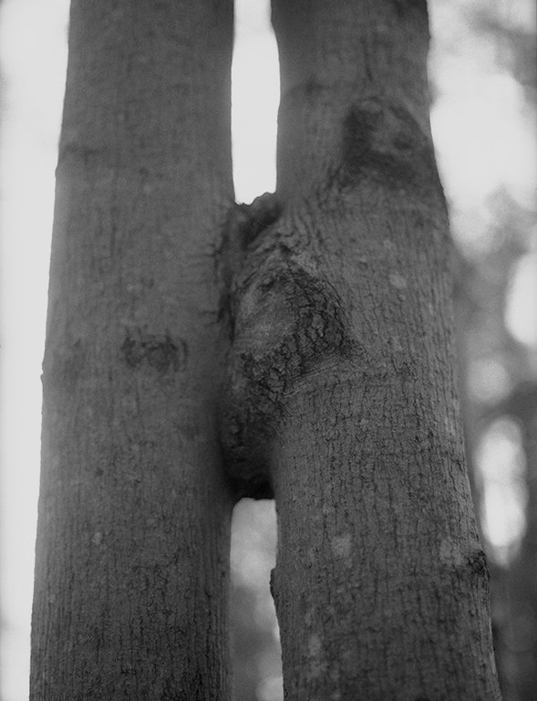 TheIslands_March2023_017 copy.jpg