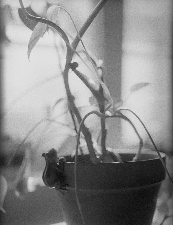 TheIslands_March2023_038 copy.jpg