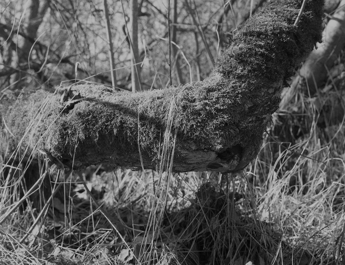 TheIslands_March2023_030 copy.jpg