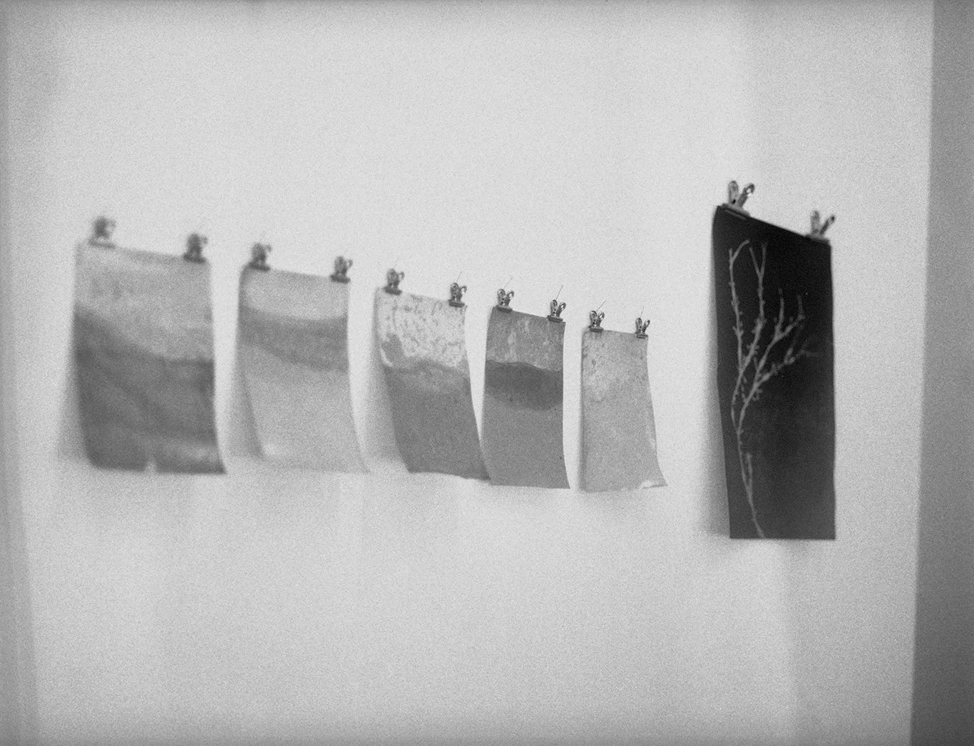 TheIslands_March2023_040 copy.jpg