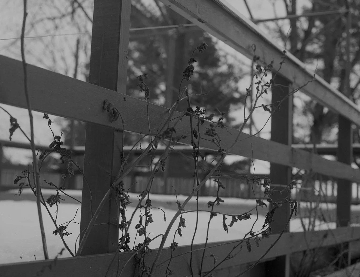 TheIslands_March2023_004 copy.jpg