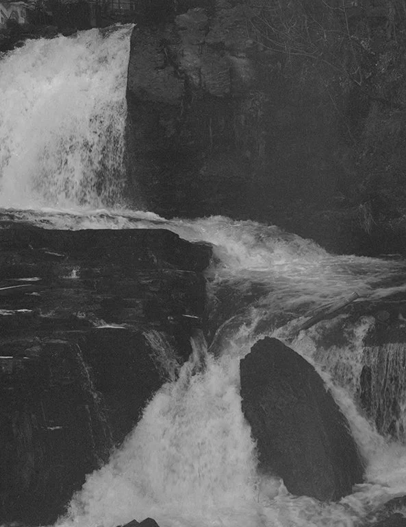 TheIslands_March2023_013 copy.jpg