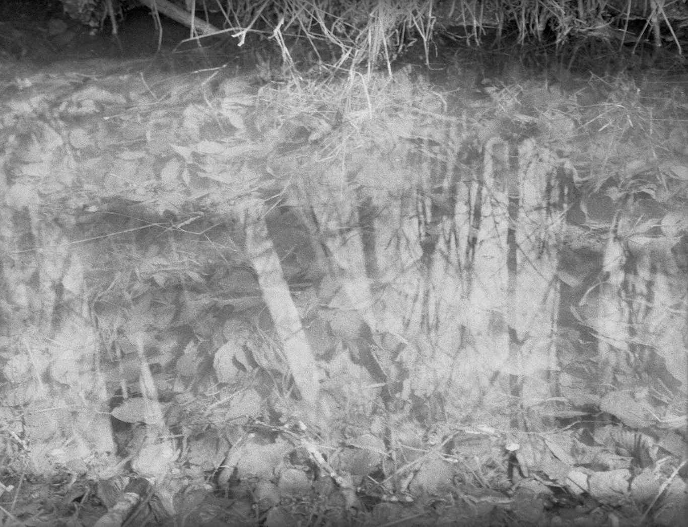 TheIslands_March2023_034 copy 2.jpg