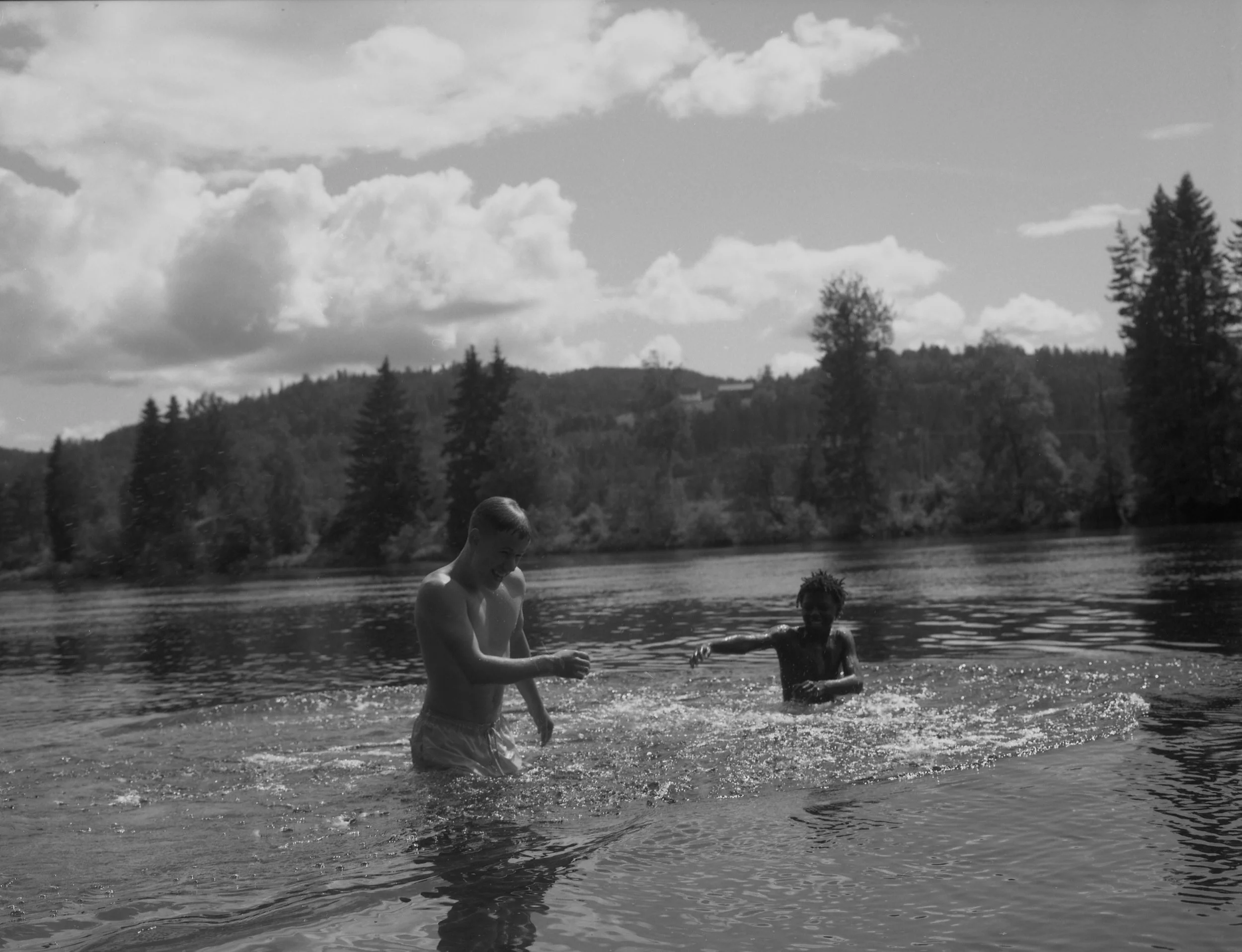 Falling or flying_202439 copy.jpg