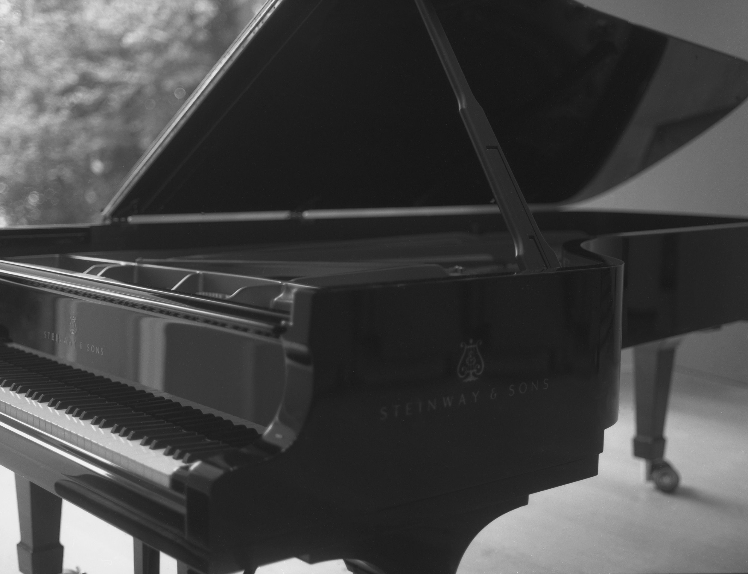 Falling or flying_202425 copy.jpg