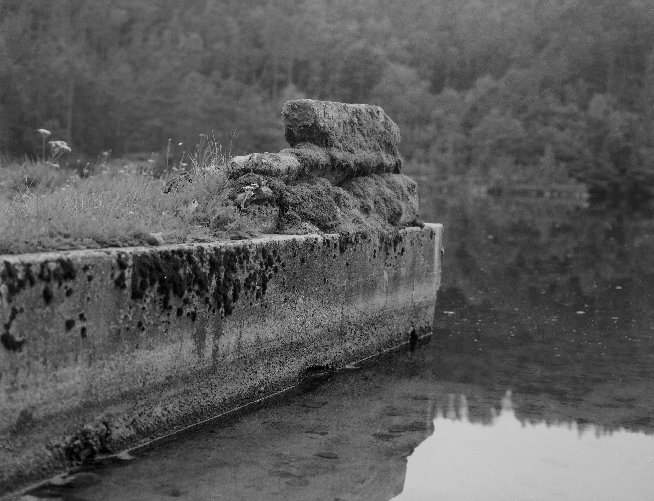 Falling or flying_202497 copy.jpg