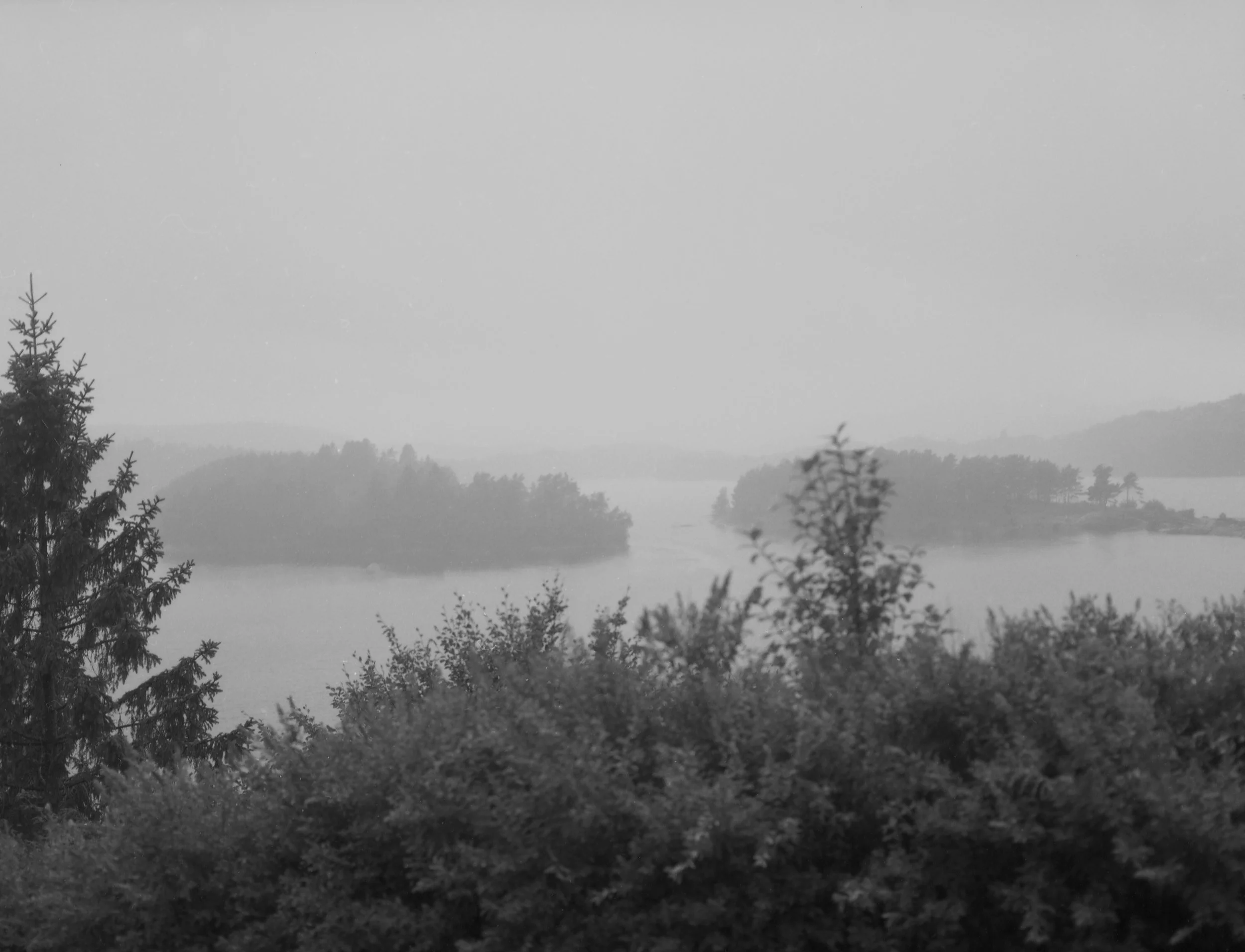 Falling or flying_202429 copy.jpg