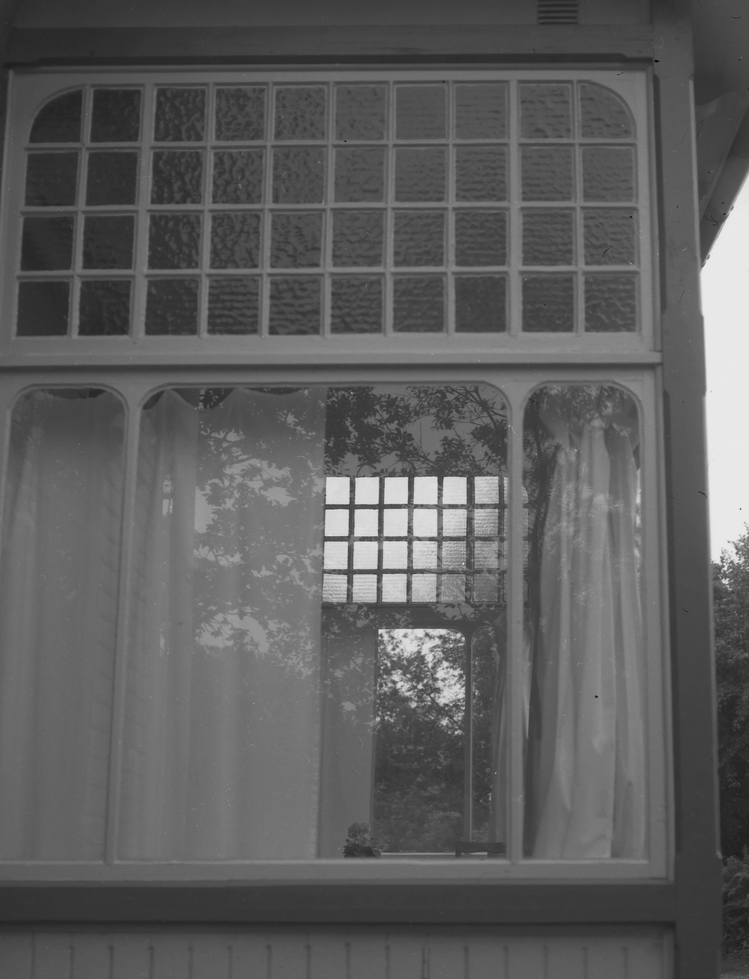 Falling or flying_202430 copy.jpg