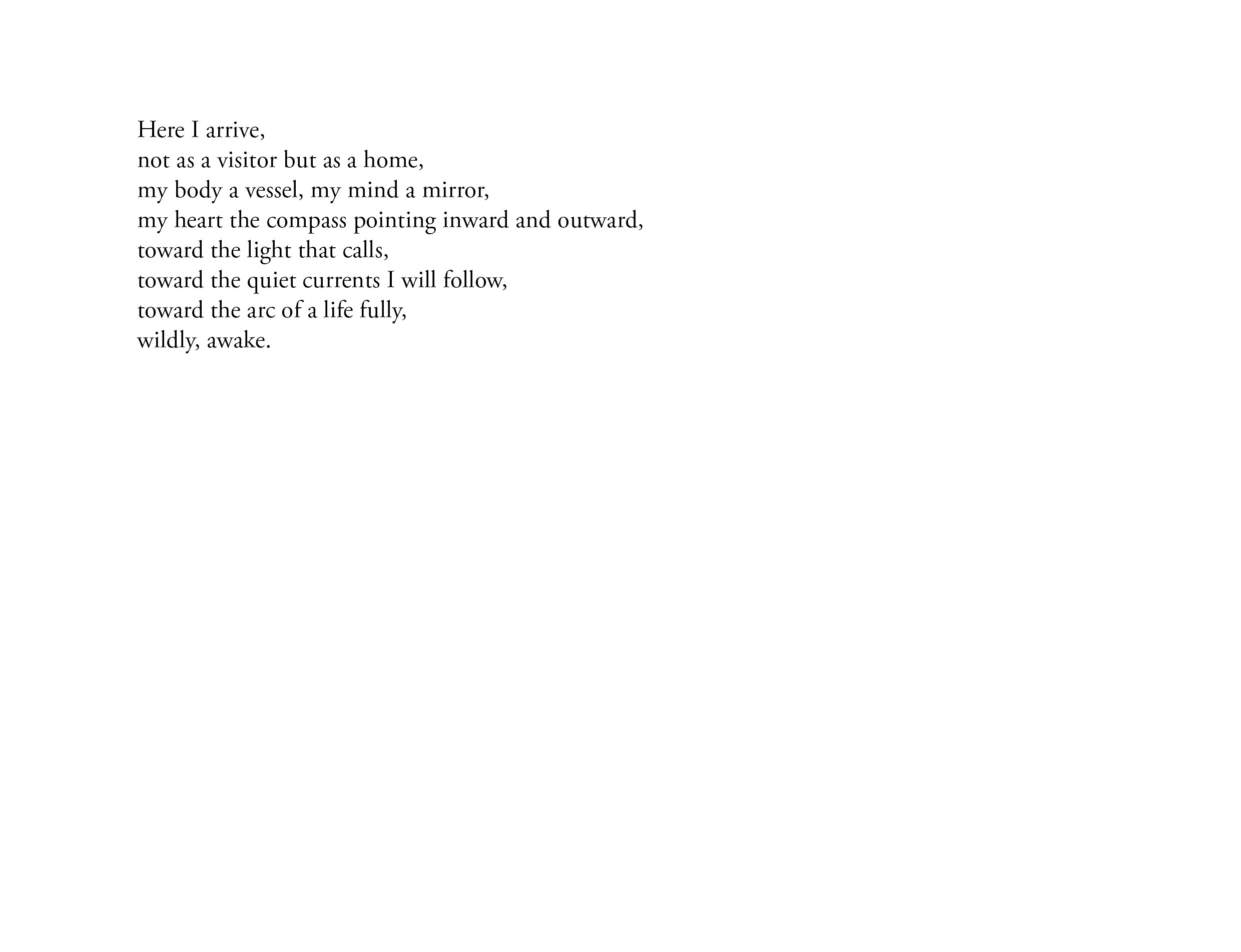 Arrival in Self 3.jpg