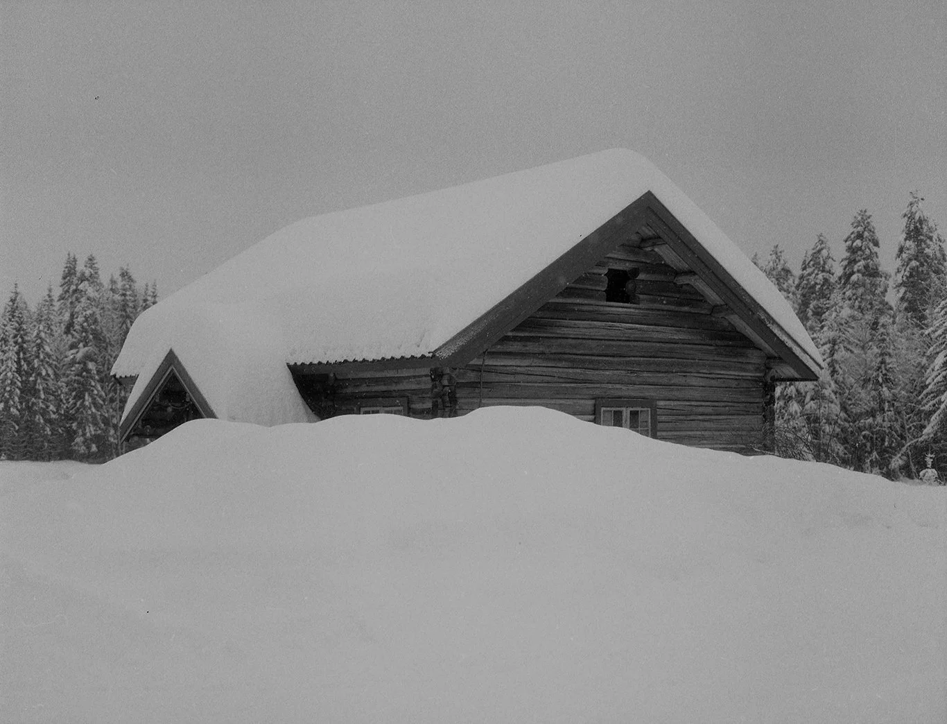 Falling or flying_202463 copy.jpg