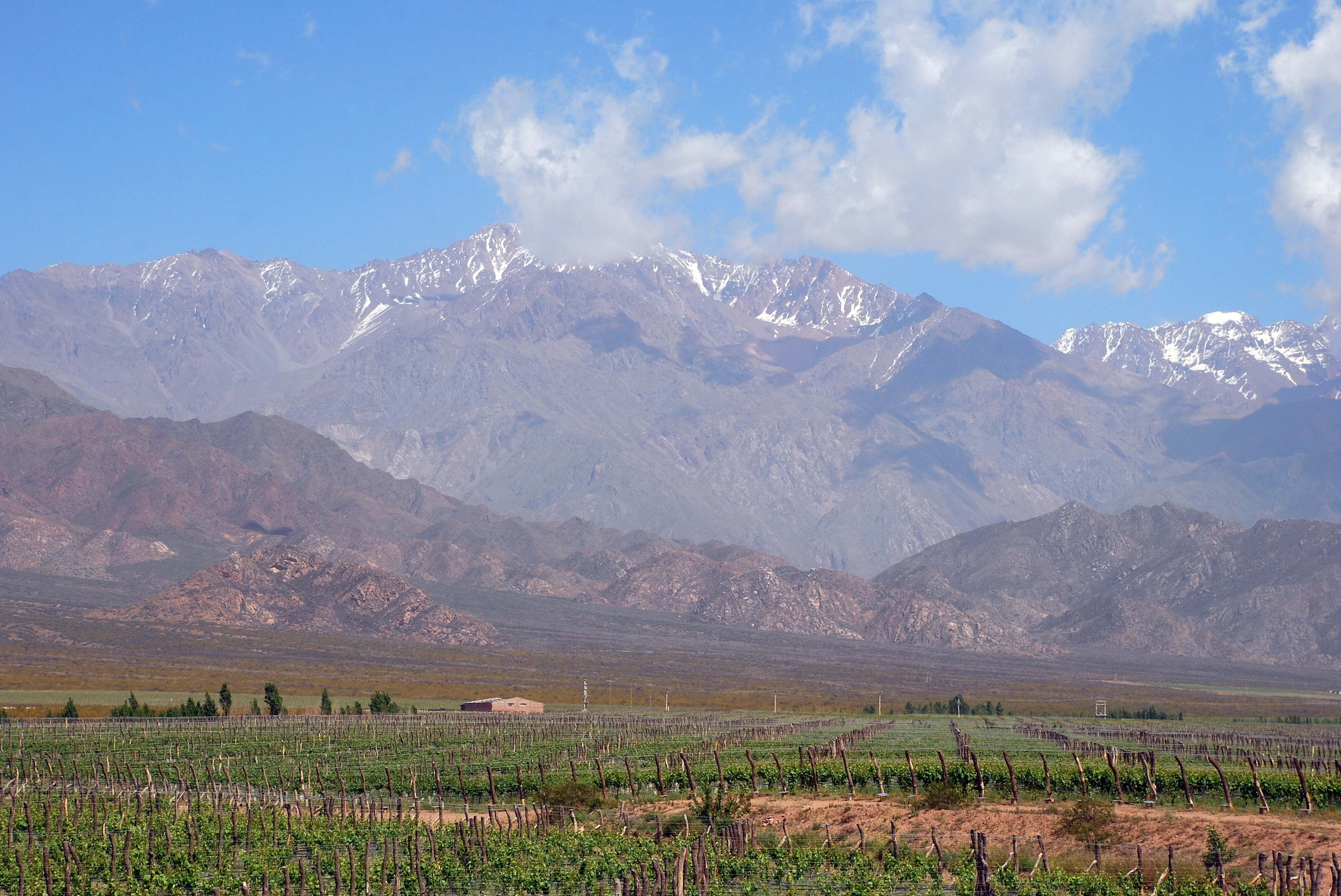 Screenshot 2020-08-06 at 09.10.29.png