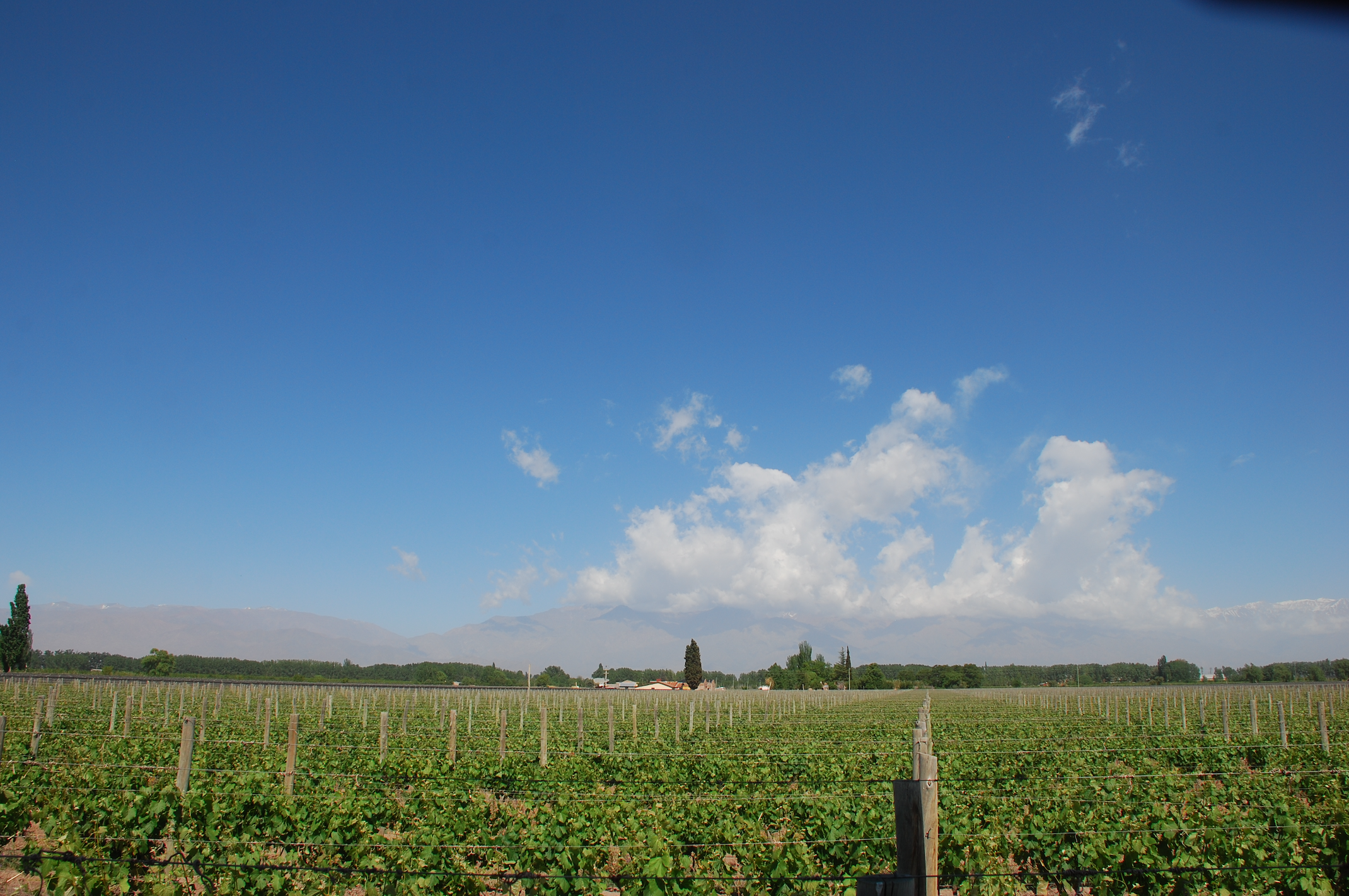 Screenshot 2020-08-06 at 09.12.42.png