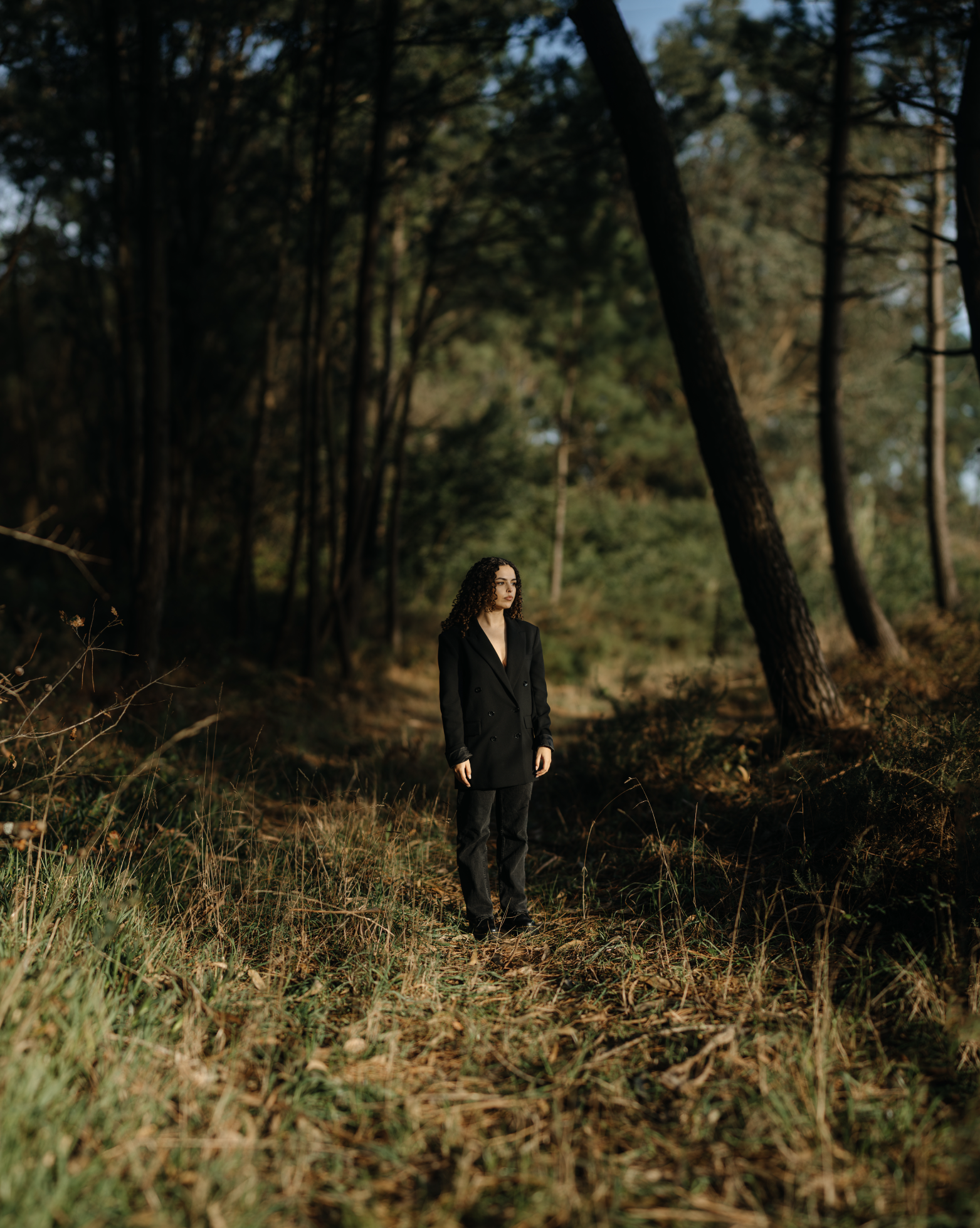 Captura de ecrã 2026-01-02, às 15.23.02.png