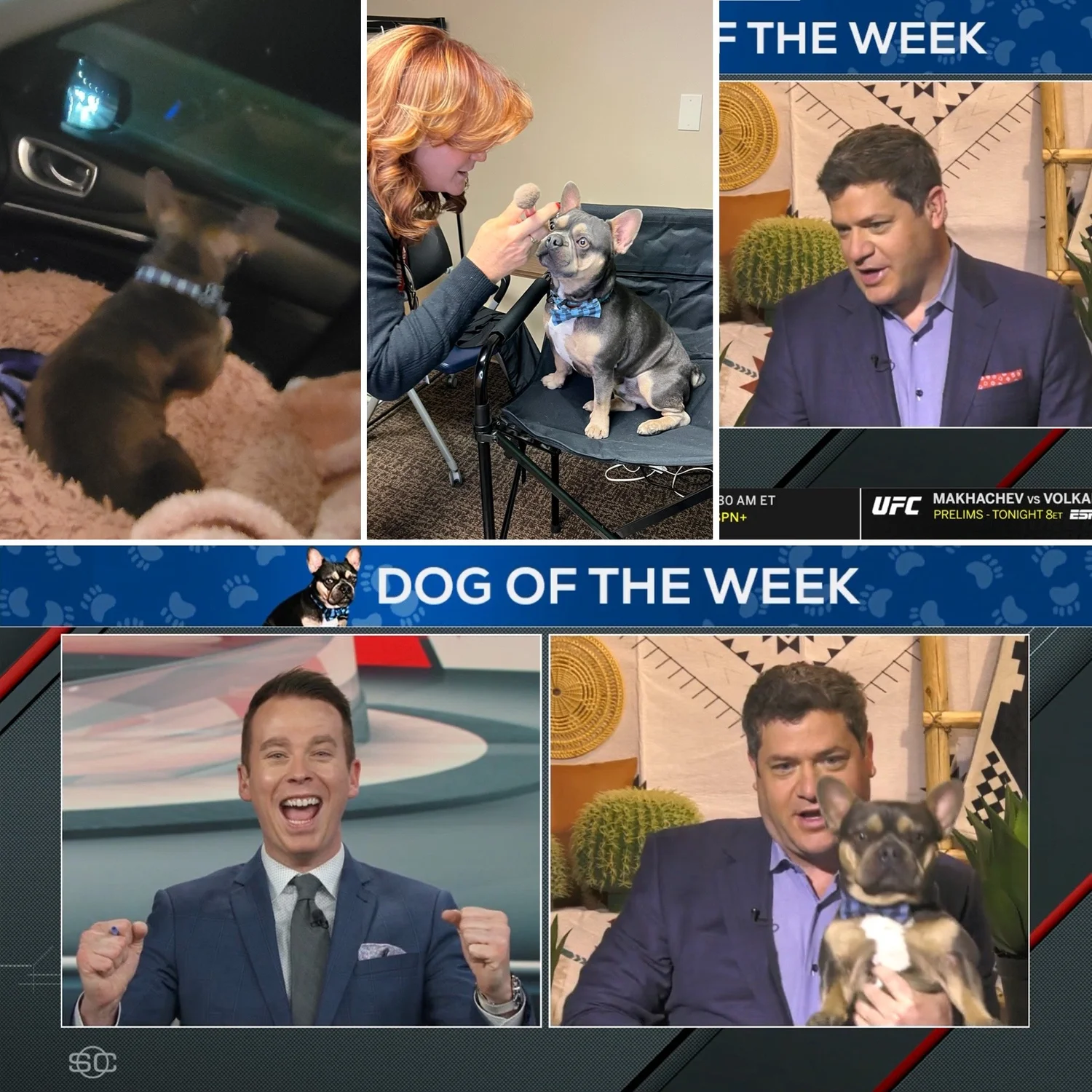 Daily Wager — Douglas Kezirian