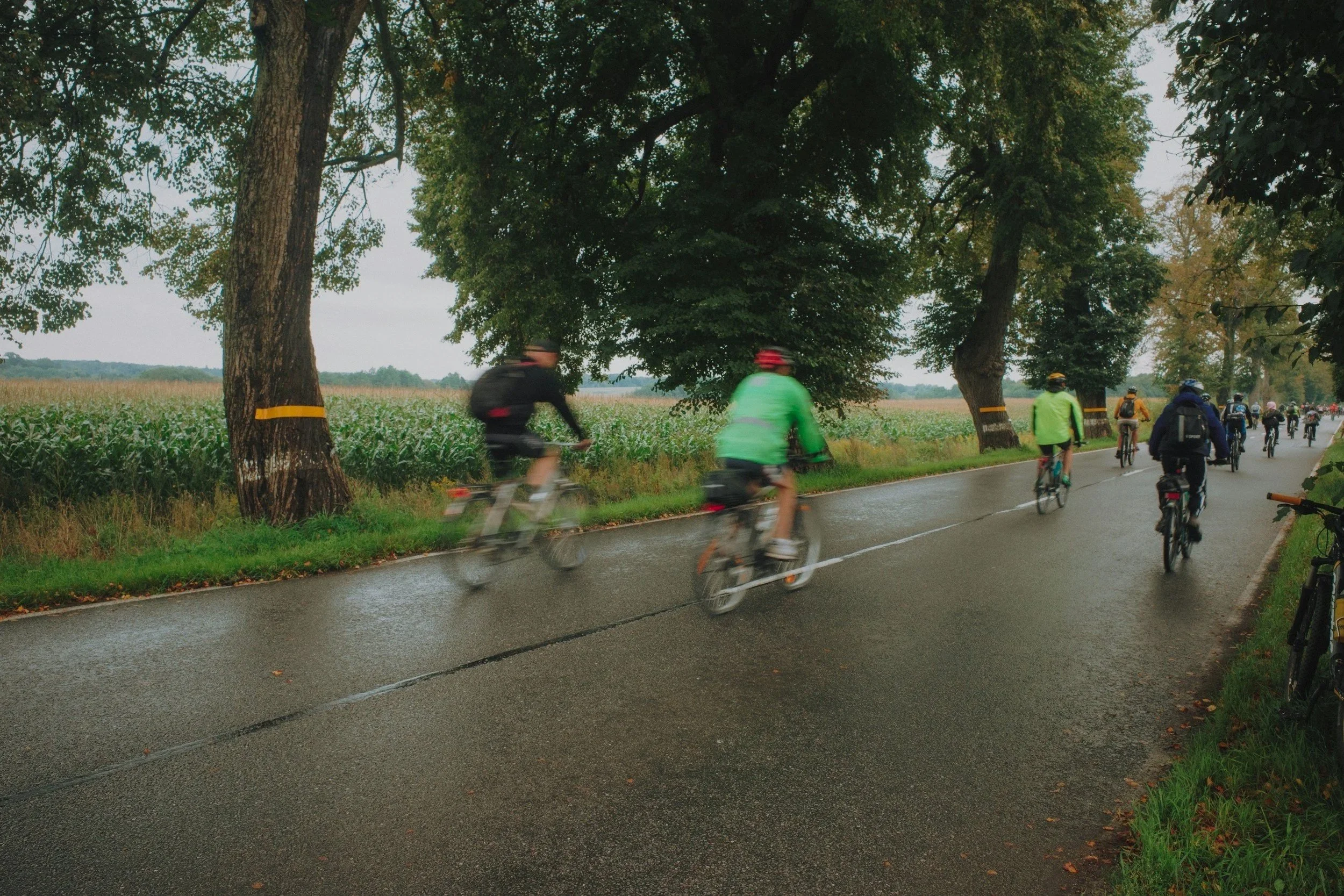 People on Bikes, biking on the road
