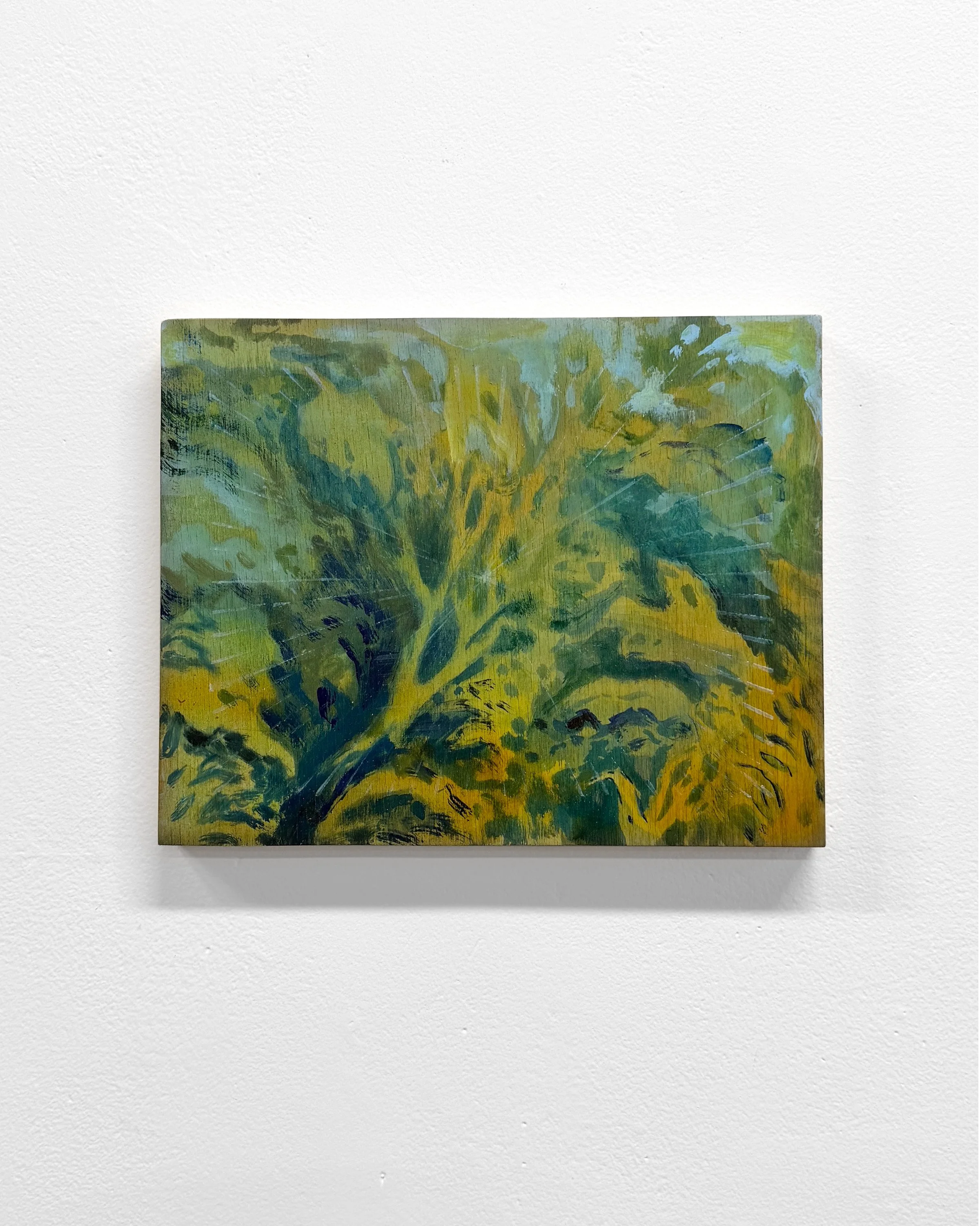 RooTaylor_under brush.jpg