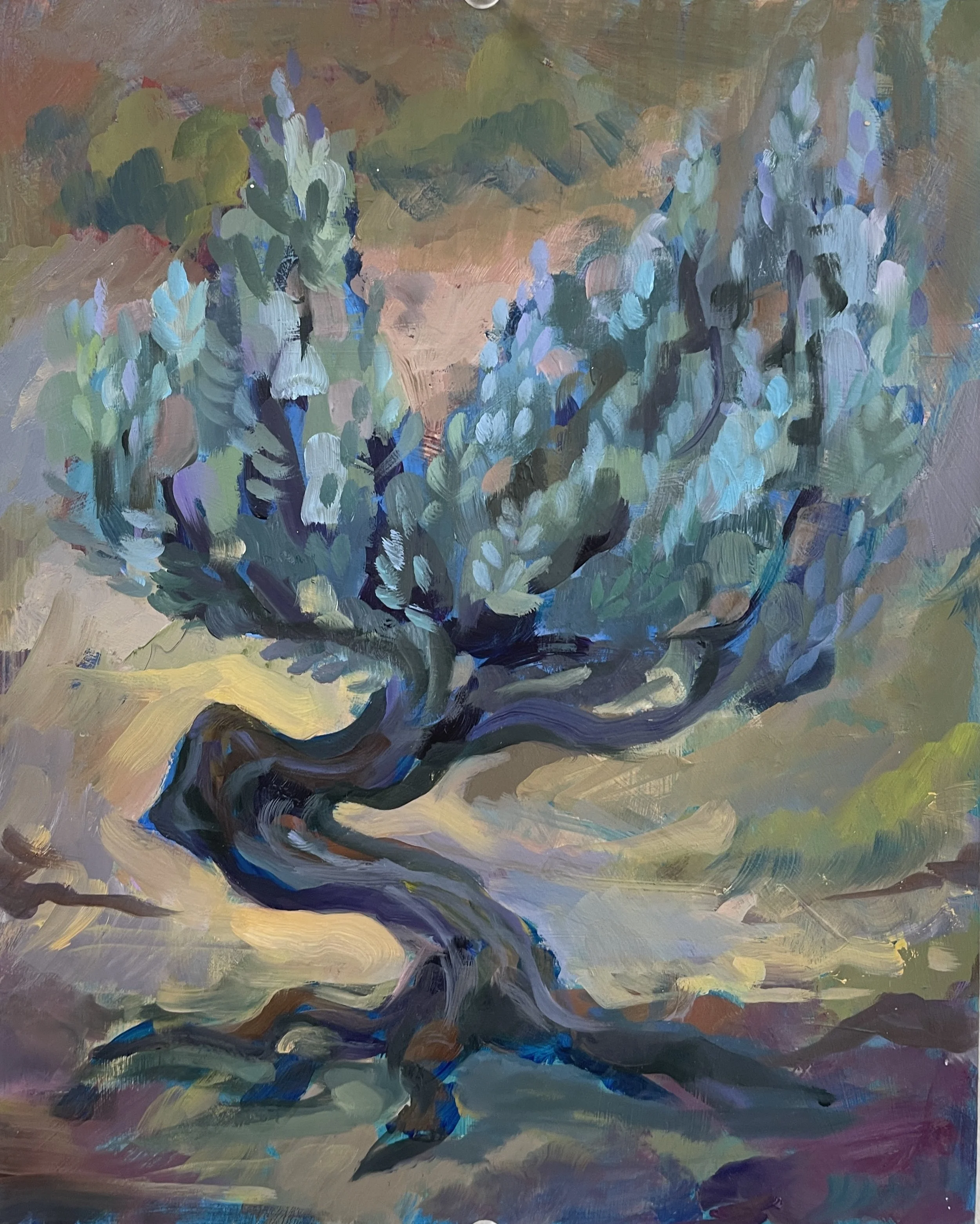 Sagebrush, 2023