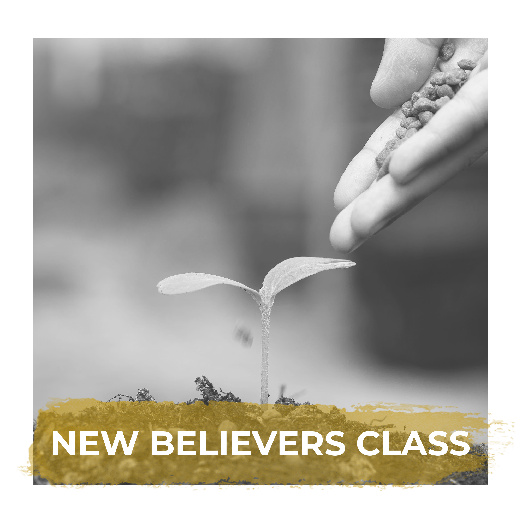 The Potters House Waltham Forest